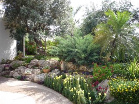 My Estate